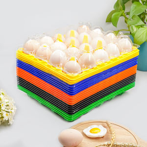 Contenitori per Uova in Plastica PET Monouso Durevoli SYY, Vassoi Alimentari con Logo Personalizzato - Product Image 4