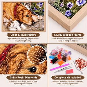 ภาพวาดเพชร 5 มิติ ขนาด 20*30 ซม. ลายสุนัขและแมว แบบเจาะเพชรกลม DIY ศิลปะโมเสกตามตัวเลข สำหรับตกแต่งผนัง - Product Image 2