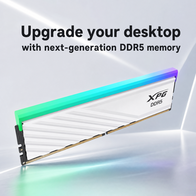 ADATA XPG Lancer D300G DDR5 16GB 6000MHz CL36 UDIMM White RGB Low Profile Single RAM for Gaming Desktop XMP 3.0 EXPO in Stock
