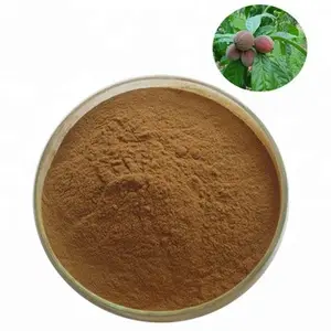 100% natürliches Bio-Blushwood-Beeren pulver Gefrier getrocknetes Blushwood-Beeren pulver