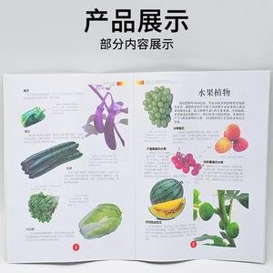 Atlas de Clasificación de Plantas 59008, Equipo para Experimentos Científicos de Escuela Primaria e Instrumento de Enseñanza de Biología, Fabricante - Product Image 4