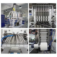 Machine d'emballage de snus à grande vitesse à 6 voies entièrement automatique pour sachets en tissu non tissé de 0,5 g et 1 g de poudre de snus