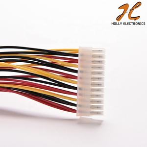 Cable <span class=keywords><strong>de</strong></span> Extensión <span class=keywords><strong>de</strong></span> Alimentación ATX <span class=keywords><strong>de</strong></span> 24 Pines Macho a Hembra para Computadora, 30 cm, Certificado RoHS, Conector <span class=keywords><strong>de</strong></span> PVC+<span class=keywords><strong>Cobre</strong></span>, Longitud Personalizable, HOLLY - Product Image 2