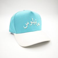 Gorra de Béisbol Deportiva de Dos Tonos, 5 Paneles, con Bordado a Mano, Estilo Oxford, Unisex, Ajustable, Estilo Hip Hop