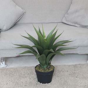 Vente chaude de petite plante artificielle de bonsaï yucca, écologique, résistante à l'eau, pour la décoration de la maison, du jardin et de Pâques - Product Image 5