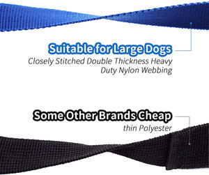 2.5 centimetri 15ft 20ft 30ft 50ft 100ft Formazione Guinzaglio 15 Piedi Del Cane/Cucciolo di Obbedienza Recall Formazione Agilità di Piombo Guinzaglio - Product Image 2