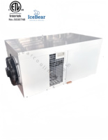 Ice Bear 220V / 1HP Compresseurs d'unités de réfrigération mono-bloc montés sur le toit pour le stockage de refroidissement des aliments en chambre froide