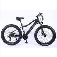 Nouveau design, livraison rapide, cadre en alliage d'aluminium, 21 vitesses, frein à disque, vélo de route électrique 48V, Fat Bike pour adulte
