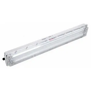 All Plastic Led Tri-Proof Housing 2X36W T8 Tube Waterproof Linear Lamp Explosion Proof Tunnel Lighting Fixture