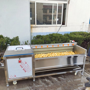 Machine de lavage et de pelage automatique à brosses rotatives pour gingembre, taro et pommes de terre, facile à utiliser, vente directe usine - Product Image 3