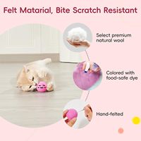 Grandes boules de feutre arc-en-ciel Montessori Pompons en laine pour bébé artisanat chats huiles essentielles