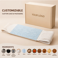 Fournisseur Vérifié Ceinture Chauffante Auto-chauffante à Moxibustion aux Herbes OEM Personnalisée pour le Confort et le Réchauffement du Dos