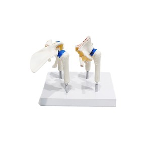 4 - Product Image 5