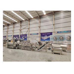 Quy Mô Nhỏ 200kgh Đầy Đủ Tự Động Chiên Gà Thịt Khoai Tây Chiên Snack Thực Phẩm Chiên Chế Biến Dây Chuyền Sản Xuất - Product Image 2