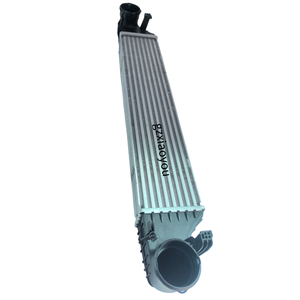 Pour <span class=keywords><strong>mercedes</strong></span>-benz C-CLASS (<span class=keywords><strong>W203</strong></span>) (CL203) modèle T (S203)/CLK (C209)C-CLASS modèle T (S203) refroidisseur (refroidisseur d'air de suralimentation) OEM 2035000500 - Product Image 4