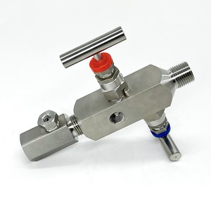 Amortiguador de Precisión OEM de Bajo Precio en China, Interfaz de Rosca de Aguja SS 316/304, 1 Año de Garantía - Product Image 5