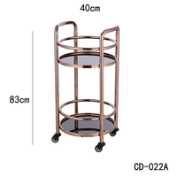 Chariot de service de luxe en acier inoxydable à 2 niveaux pour bar, thé et vin, robuste, pour hôtels, restaurants et traiteurs