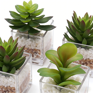 Set di 4 <span class=keywords><strong>Piante</strong></span> Succulente Artificiali di Alta Qualità in Vasi di Vetro, Piccole <span class=keywords><strong>Piante</strong></span> Finte per Decorazione Finestre - Product Image 4