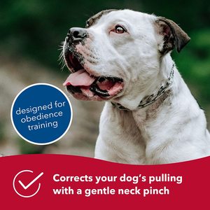 High Quality Classic Stainless Steel Detached Choke Pinch <strong>Prong</strong> Dog <strong>Training</strong> <strong>Collar</strong> - Product Image 2