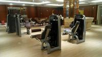Machine commerciale LD-7005 pour curls et extensions assis, appareil d'entraînement des jambes 2-en-1 à charges à disques pour centres de fitness