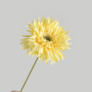 Simulation ins style coréen branche unique brossé gerbera marguerite simple décoration de la maison simulation petit frais Frangipanier gebera - Product Image 3