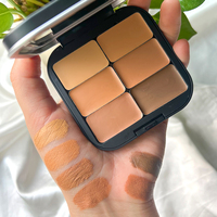 Vente en gros 6 couleurs Palette de correcteur imperméable mat Correcteur à couverture complète de marque privée OEM