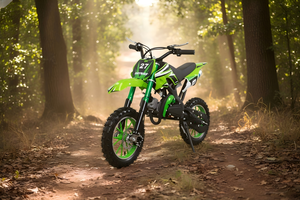 Nouveau best-seller 2025 – Mini moto tout-terrain 49cc à essence, refroidie par air, 2 temps, pour enfants, vitesse 40-60 km/h (Offre Spéciale) - Product Image 4