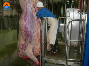 Línea de Sacrificio de Ganado con Capacidad de 50 Cabezas por Día para Planta Procesadora de Carne de Res, Máquina de Sacrificio de Vacas para Matadero Halal - Product Image 5