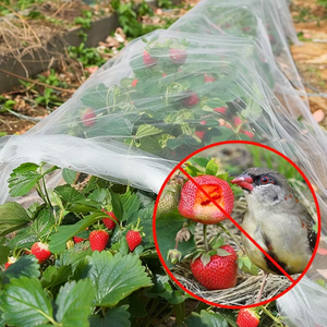 Rete Anti-Insetti in HDPE per Giardino, Rete Anti-<span class=keywords><strong>Uccelli</strong></span>, Protezione per Alberi <span class=keywords><strong>da</strong></span> Frutto, Rete per Orto e Serra - Product Image 1