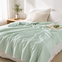 Couverture d'été en soie glacée sensation fraîche, matelassée en fibres rafraîchissantes de classe A, légère, lavable en machine, literie moderne et minimaliste pour la maison