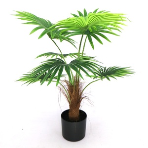 <span class=keywords><strong>Mini</strong></span> <span class=keywords><strong>palmier</strong></span> artificiel de 70 cm avec <span class=keywords><strong>pot</strong></span> |   Accent parfait pour le bureau à domicile et les appartements, gain de place sur la table - Product Image 1