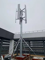 Vente flash : éolienne verticale 5000W à 3 pales, hauteur 4200 mm, pour usage domestique