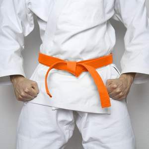 Cintura Colorata PATIKIL per Taekwondo in Poliestere, Cintura per Arti Marziali BJJ, Judo, Karate per Allenatori, Insegnamento e Pratica - Product Image 5