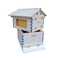 Nouvelle ruche à abeilles automatique en bois à vendre – Fournisseur d'usine, prix abordable