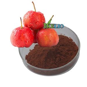 चीनी हॉथोर्न फल निकालने पाउडर हॉथर्न पत्ती निकालने 10:1 हॉथर्न पत्ती निकालने पाउडर - Product Image 1