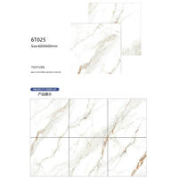 Carrelage de sol en marbre blanc beige gris ivoire glacé 600x600x8 9mm, texture de pierre moderne, brillant mat poli, mosaïque intérieure