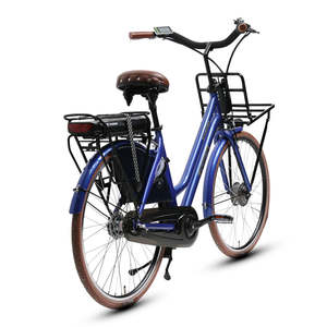 TXED Popular 3 velocidades 36V 250W Motor Amsterdam Cargo Ebike Bicicleta retro holandesa para hombre Mujer Commuter Bicicletas eléctricas de ciudad - Product Image 3