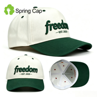 Nueva Gorra de Béisbol de Cinco Paneles con Diseño en Dos Tonos de Algodón, Logotipo Bordado en 3D Personalizado, Correa Ajustable, Estilo Urbano Diario, Venta al Por Mayor OEM