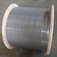Câble en acier inoxydable de 4 mm, câble en acier inoxydable de 20 mm, 314 0,5 mm SS 310 304, sur mesure avec 1x19 316