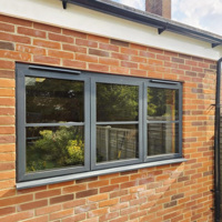 Ventana de Vidrio Aislante de Doble Capa con Perfil de Aluminio Personalizable y Gran Campo de Visión, con Malla