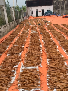 เปลือกอบเชยทั้งเปลือกจากเวียดนามผลิตภัณฑ์ส่งออกพรีเมี่ยม - Product Image 2