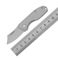 Mini couteau de poche pliant en acier inoxydable à lame pleine, pour éplucher, activités de plein air, camping, chasse, défense personnelle, ouvre-boîte, OEM fabriqué en Chine