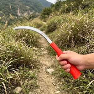 Nahe Agricultural Sickle Stainless Steel Serrated Red Handle Harvesting Tool For Rice Leek Farming - Product Image 3