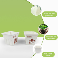 Boîte en pulpe moulée personnalisée HTA, compostable, en bagasse de papier, biodégradable, écologique, de qualité alimentaire, pour accessoires de téléphone portable