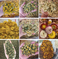 Vente en gros de fleurs de chrysanthème séchées 100% naturelles et saines pour le thé en vrac