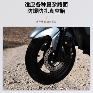 Trottinette électrique T10, batterie au plomb-acide 55 kg, freinage sur les moyeux avant et arrière, type standard, usage navetteur - Product Image 3