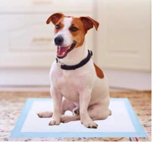 Almohadilla para orinal de cachorro desechable súper absorbente 60*60 almohadilla de orina para mascotas de estilo de madera para perros estilo de moda - Product Image 5