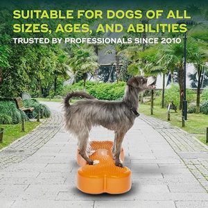 Disque d'équilibre pour chien avec logo personnalisé, modèle os, équipement d'agilité, fonction massage, bâton en forme d'os, respectueux de l'environnement - Product Image 5