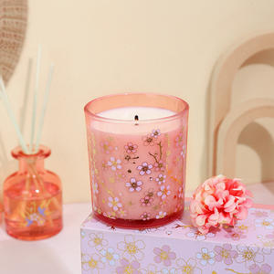 Velas de aromaterapia para médicos, conjunto de negocios, regalos, Ideas, promoción, gran oferta - Product Image 3