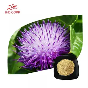 USA Warehouse High Quality Oganic Silybum Marianum Silymarin Powder 80% Milk Thistle Extract